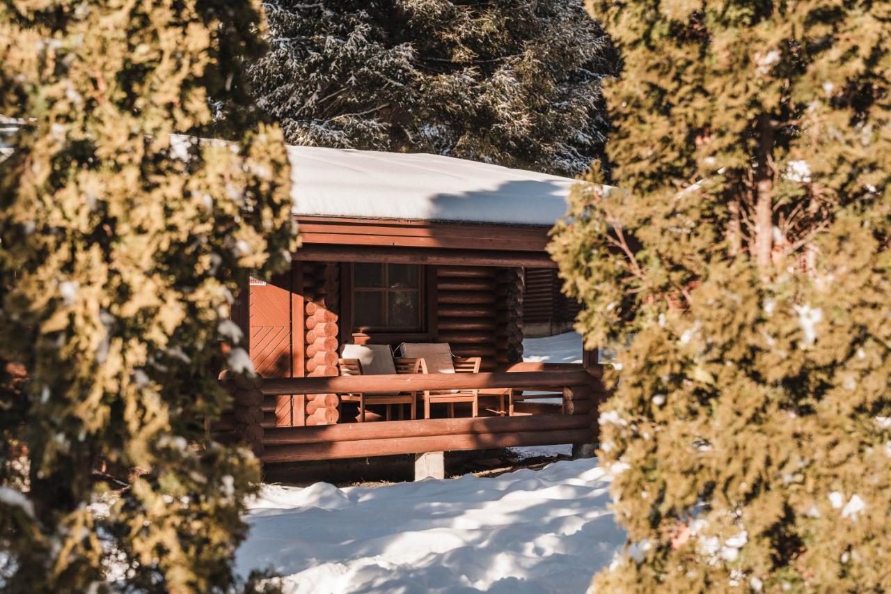 Villas Jagoda&Malina Borovets Exterior foto