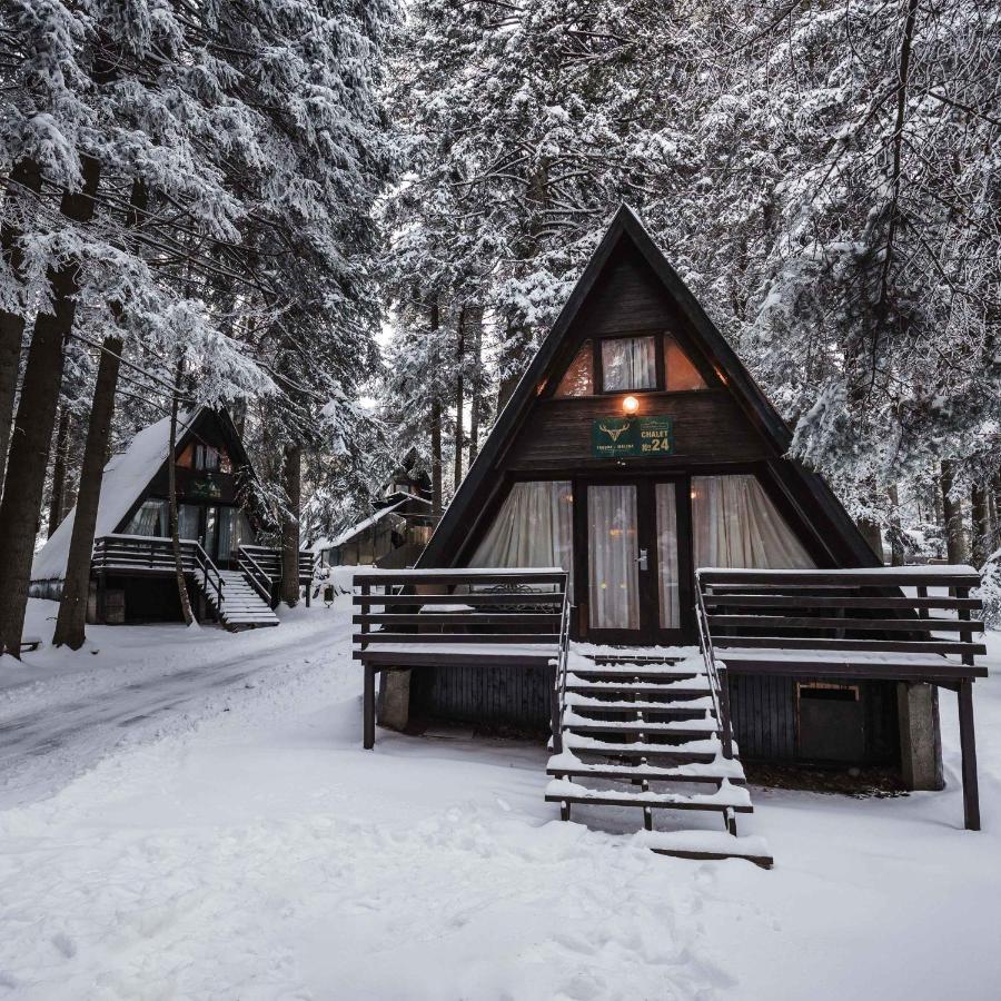 Villas Jagoda&Malina Borovets Exterior foto