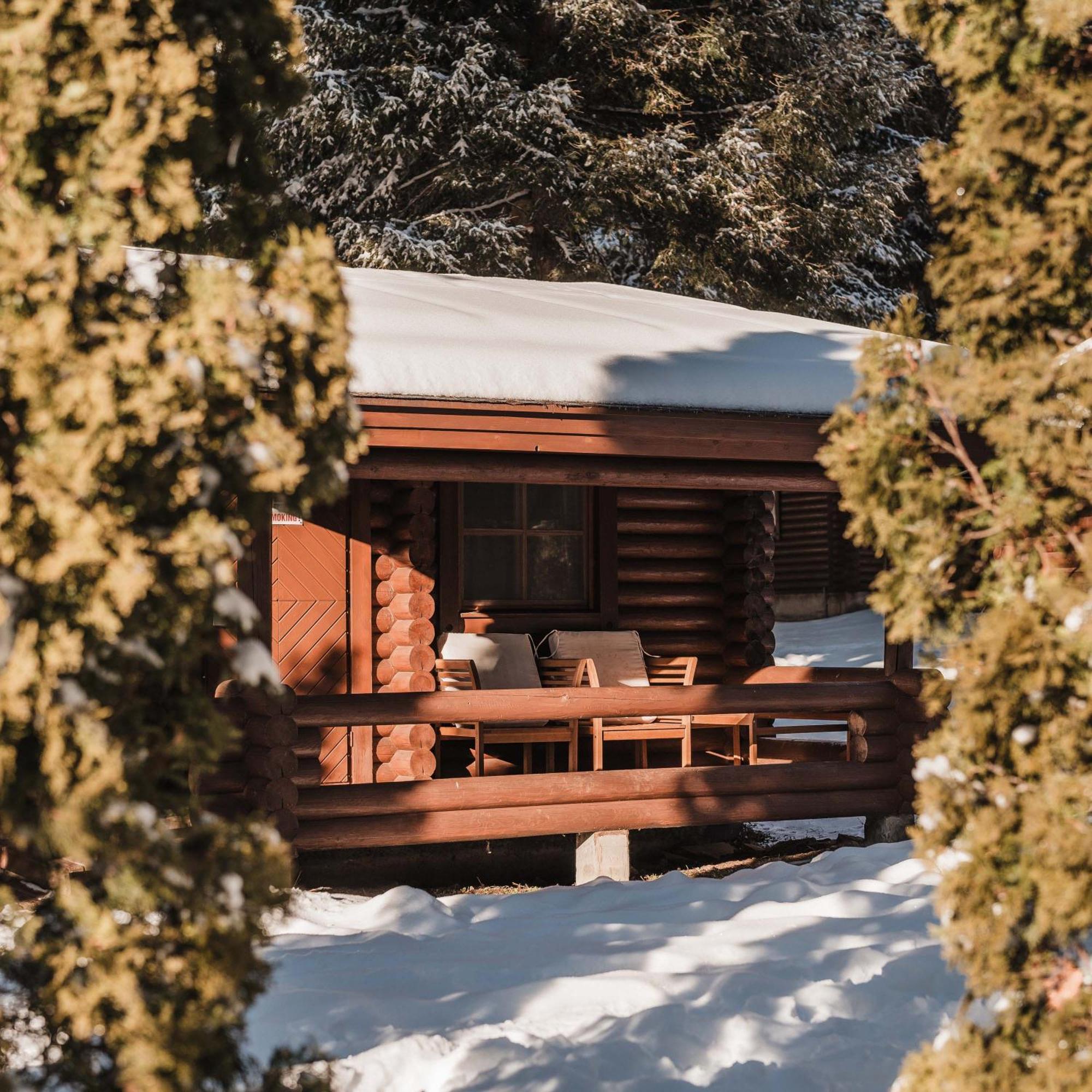 Villas Jagoda&Malina Borovets Exterior foto