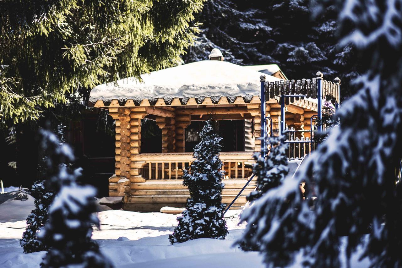Villas Jagoda&Malina Borovets Exterior foto